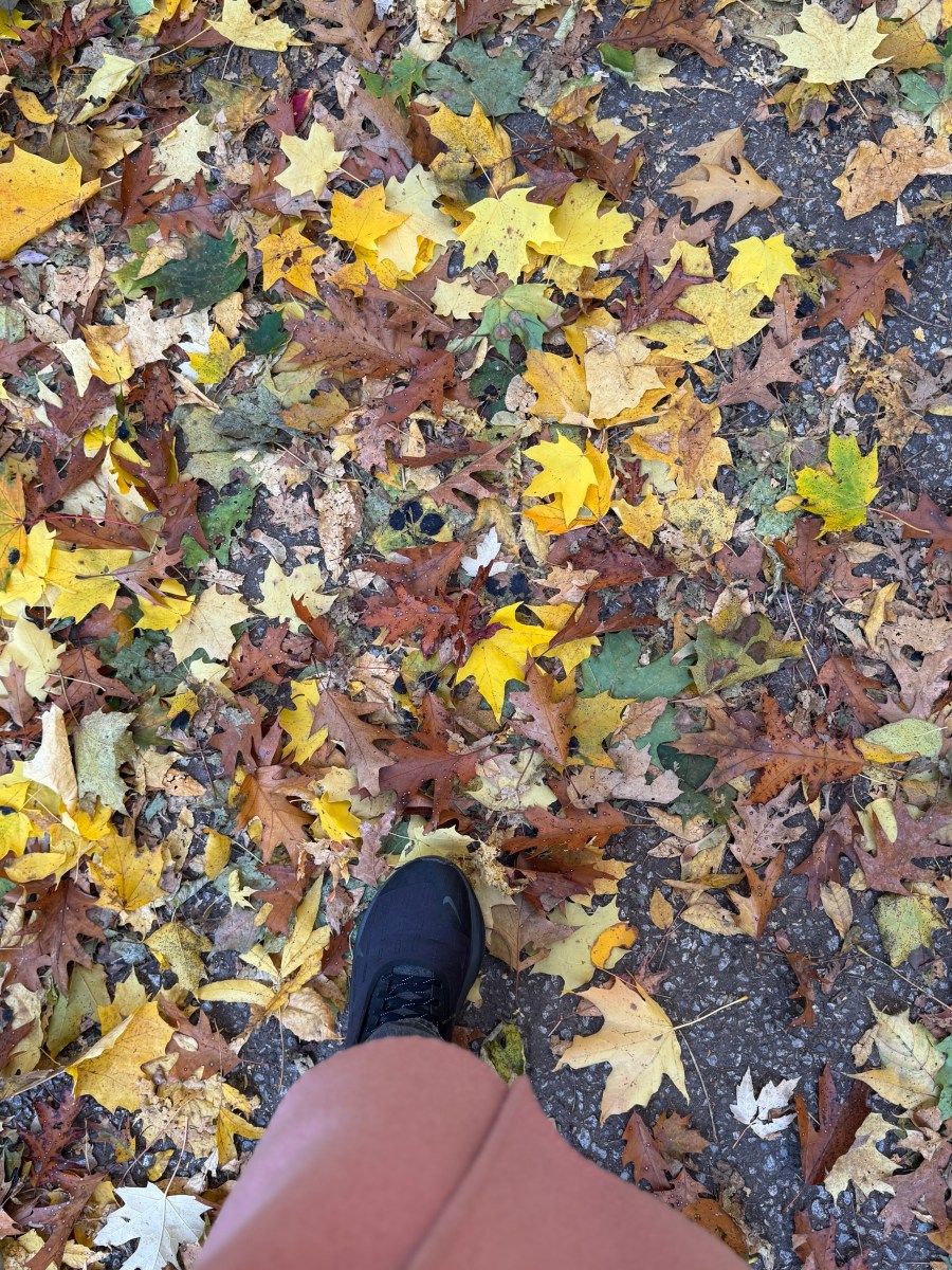 Beauty in the&nbsp;mundane